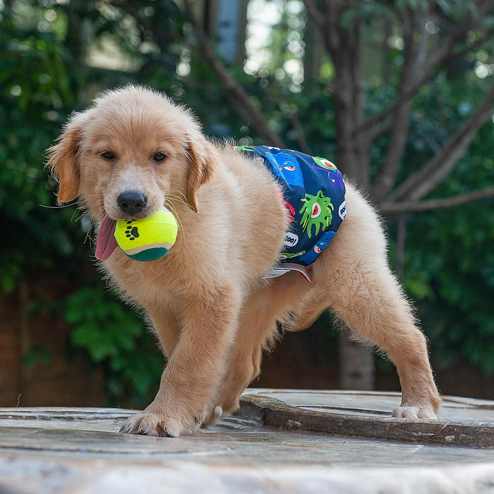 CuteBone tallas XS a L, ajuste seguro para perros de diferente tamaño