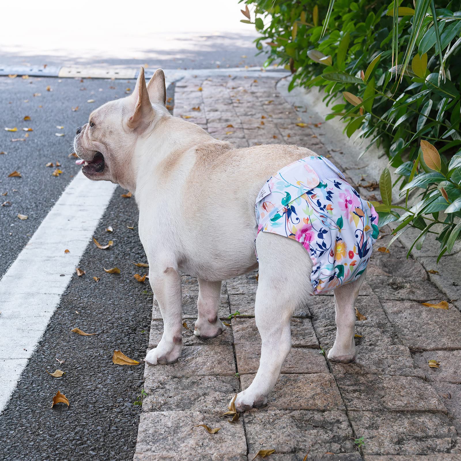 Interior suave y secado rápido de CuteBone para comodidad de la mascota
