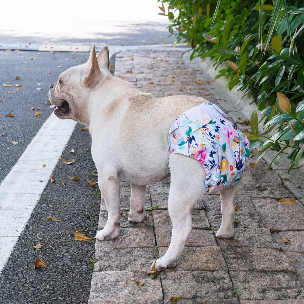 Interior suave y secado rápido de CuteBone para comodidad de la mascota