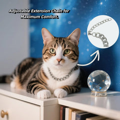 CWYZA collar gato con extensión ajustable, ajuste seguro