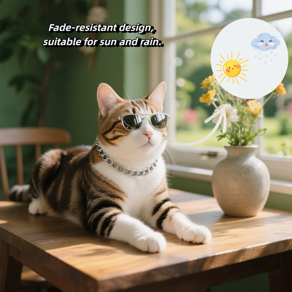 CWYZA collar gato brillo duradero, acabado resistente a desvanecimiento