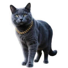 CWYZA collar gato oro con cadena cubana para uso diario