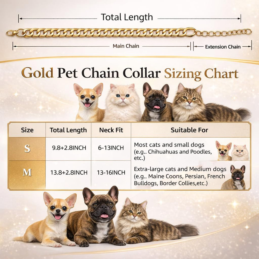 Diseño elegante para sesiones de fotos, realza la personalidad de tu gato