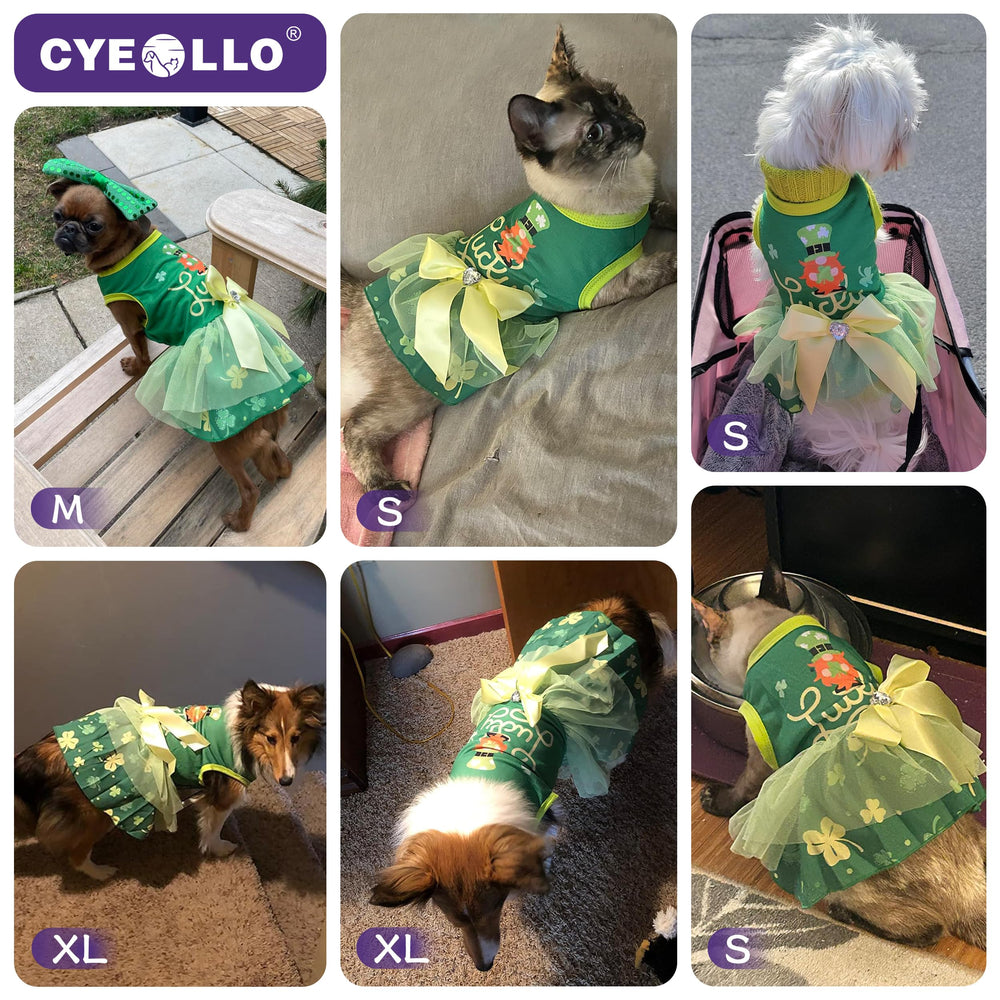 Conjunto cyeollo verde ligero para perro, fácil de colocar