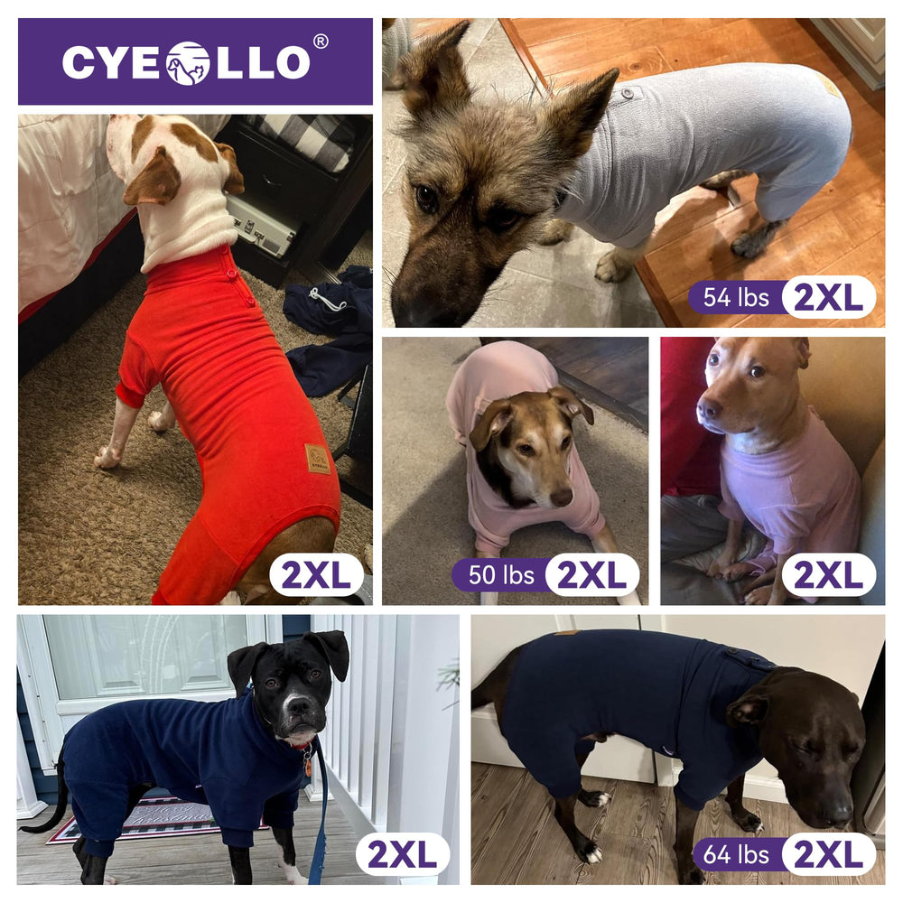 Pijama cyeollo para perro grande, talla 2XL: ajuste cómodo para perros grandes.