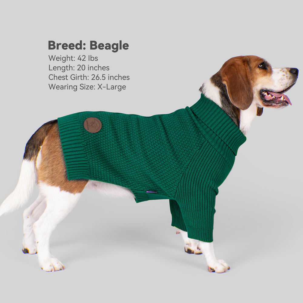 Suéter cyeollo para perro grande, cuello alto, protección del frío.