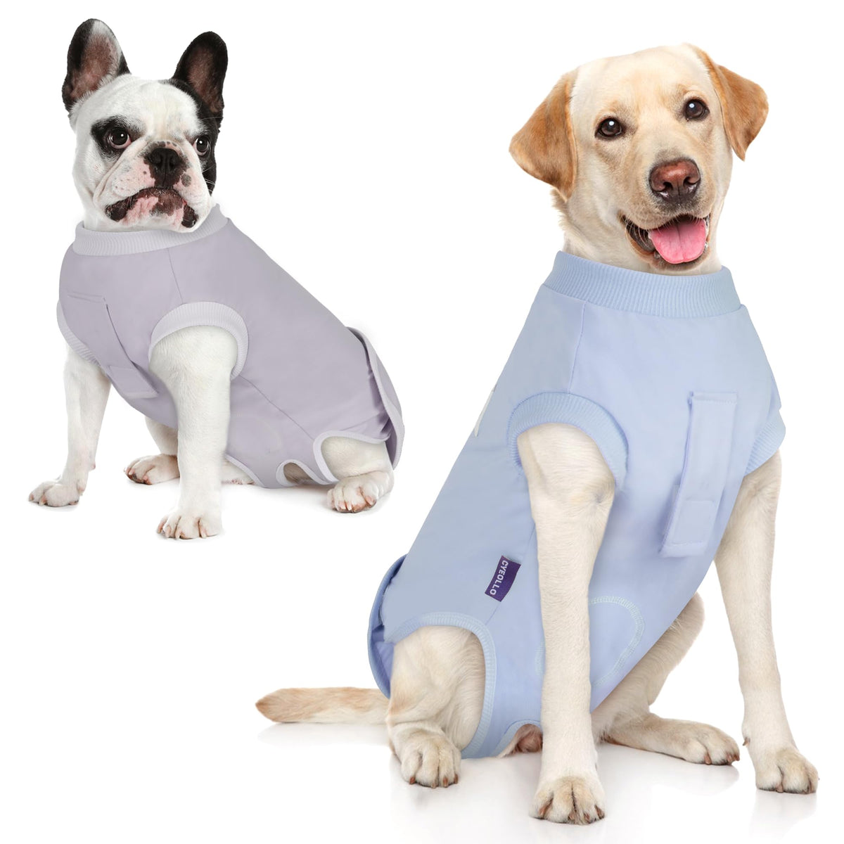 cyeollo traje recuperación perro XXL azul gris protege heridas.