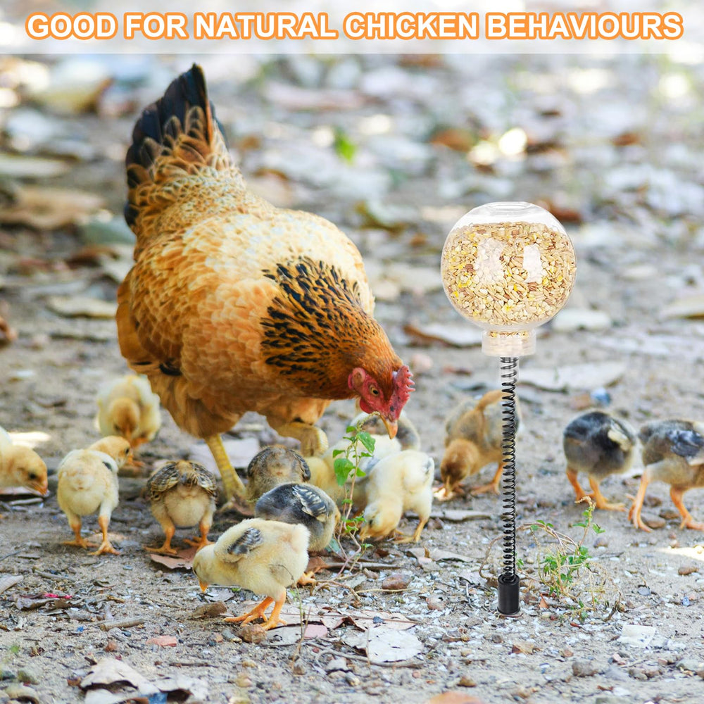 CYG&CL juguete para coop de gallinas, montaje sin herramientas para mayor practicidad.