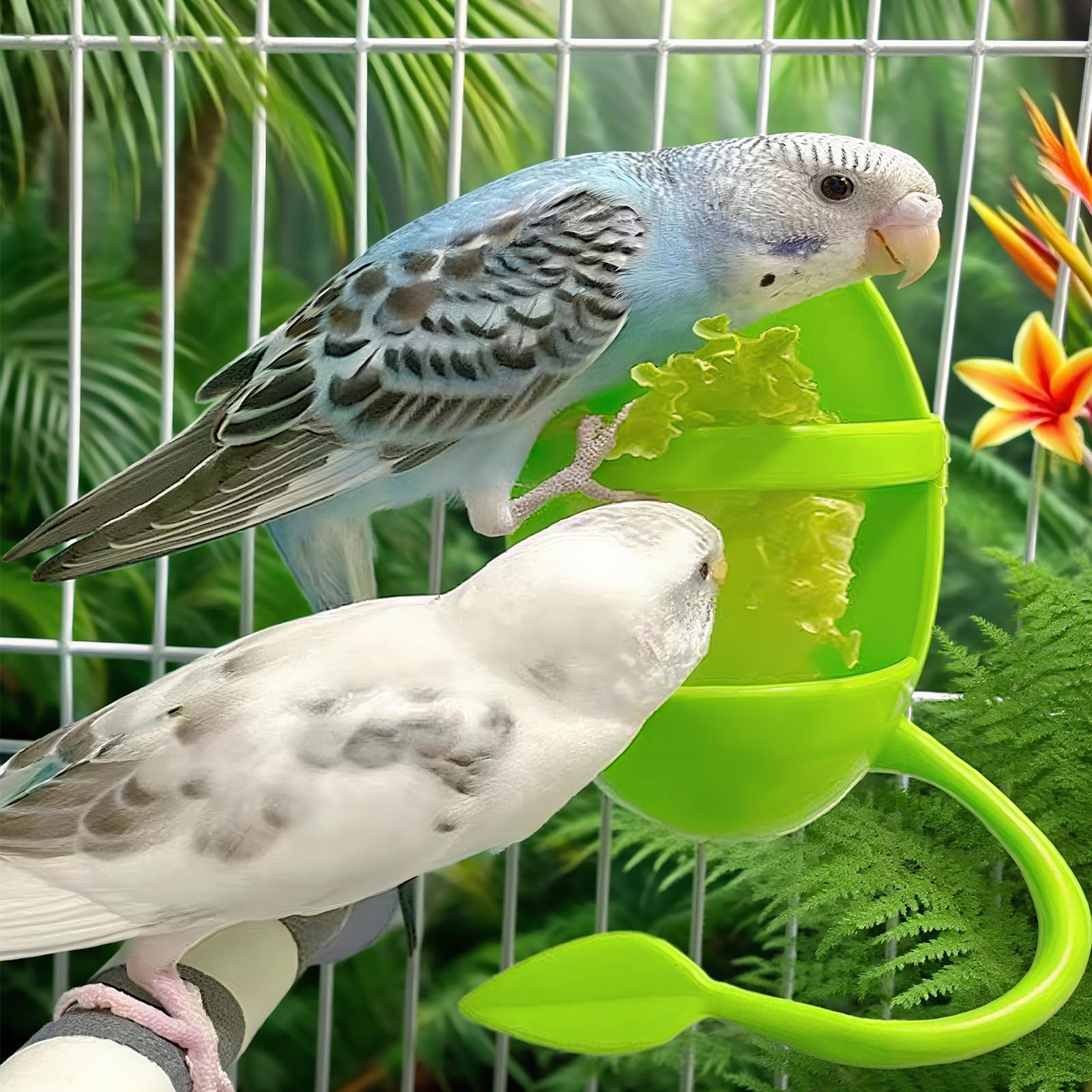 CZMZHFC idea de regalo para amantes de aves.