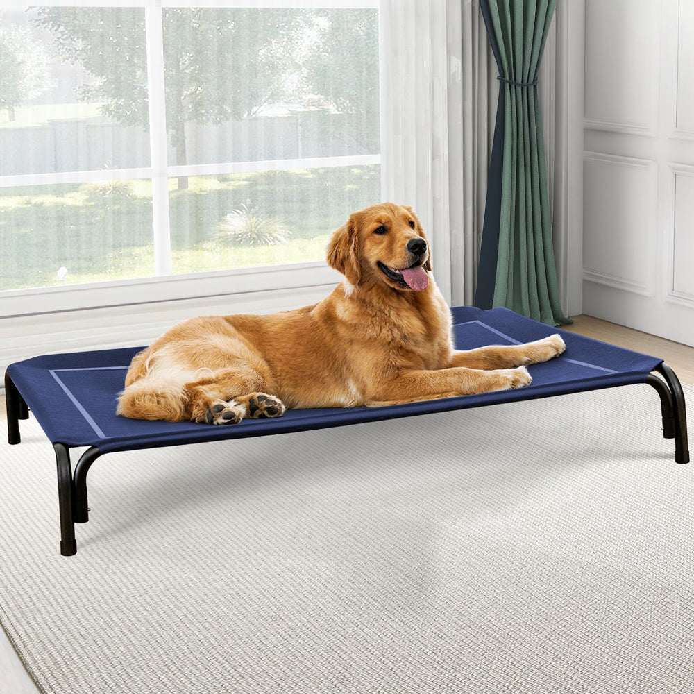 Czpalo cama elevada para perros exteriores ofrece soporte estable y ventilación.