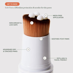 Dandylion Soft Paws absorcion rápida deja patas suaves y cómodas