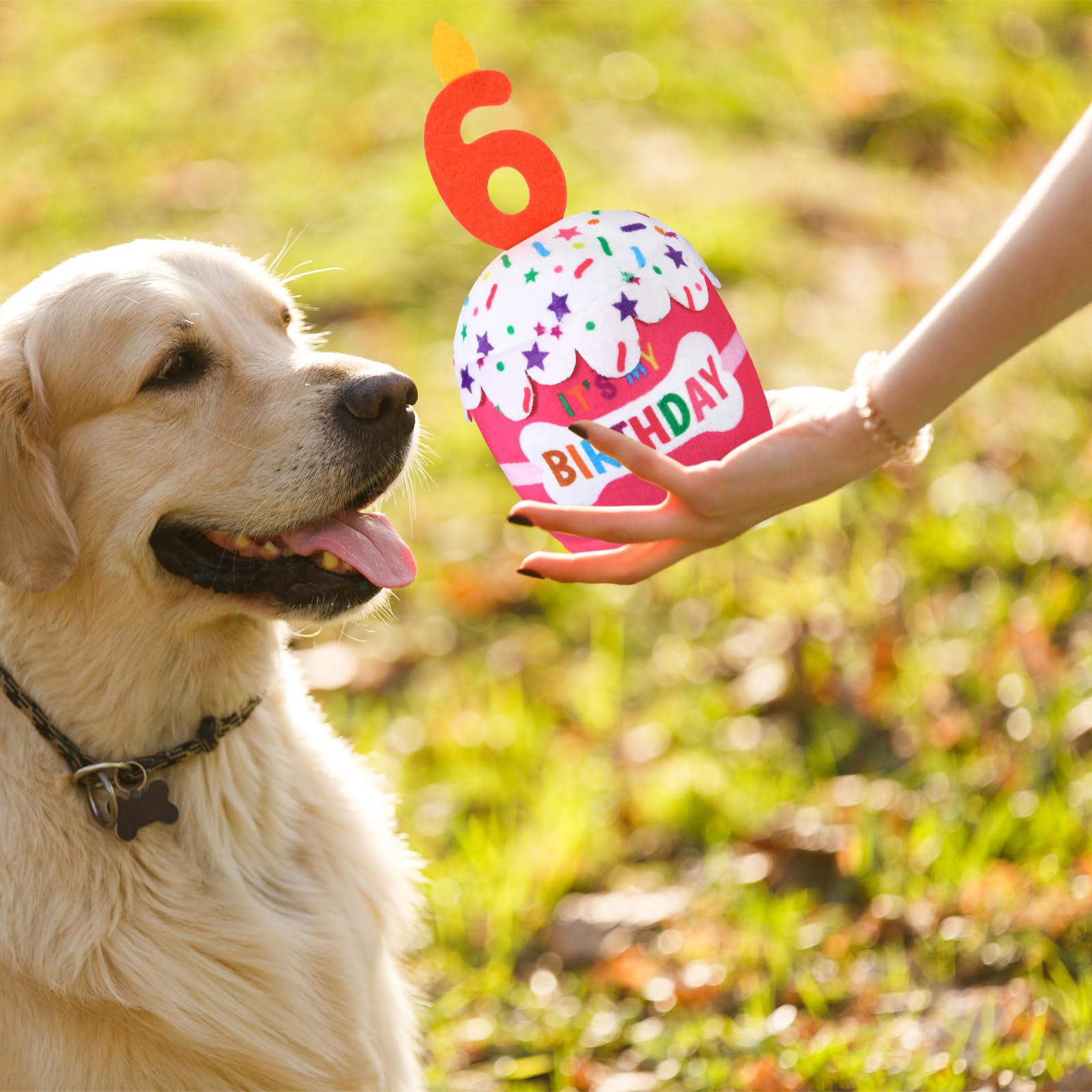 Dansydaisy tamaño cómodo para perros pequeños y medianos, ideal para juego diario.