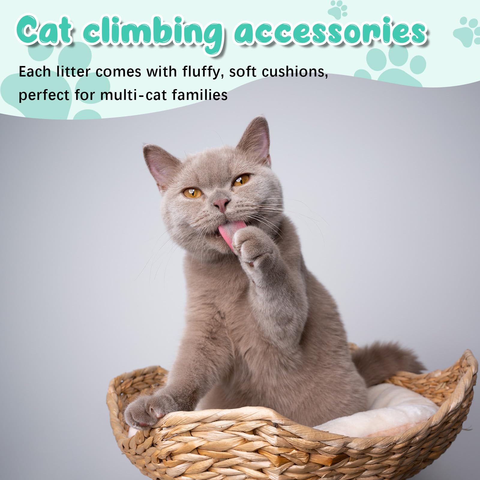 Dansydaisy set-accesorios-arbol-gatos presenta confort y estructura duradera para múltiples gatos.