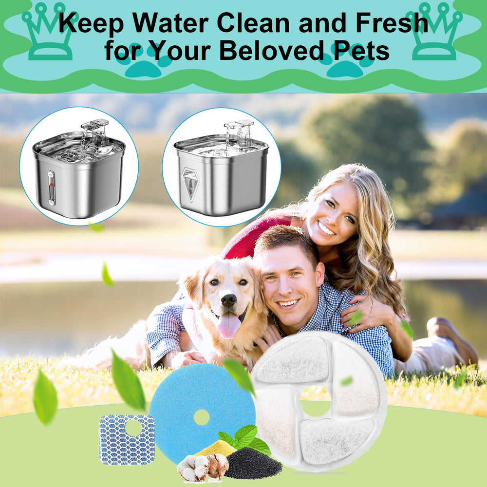 Daoxuan cambio filtro semanas 2-4 para agua fresca.