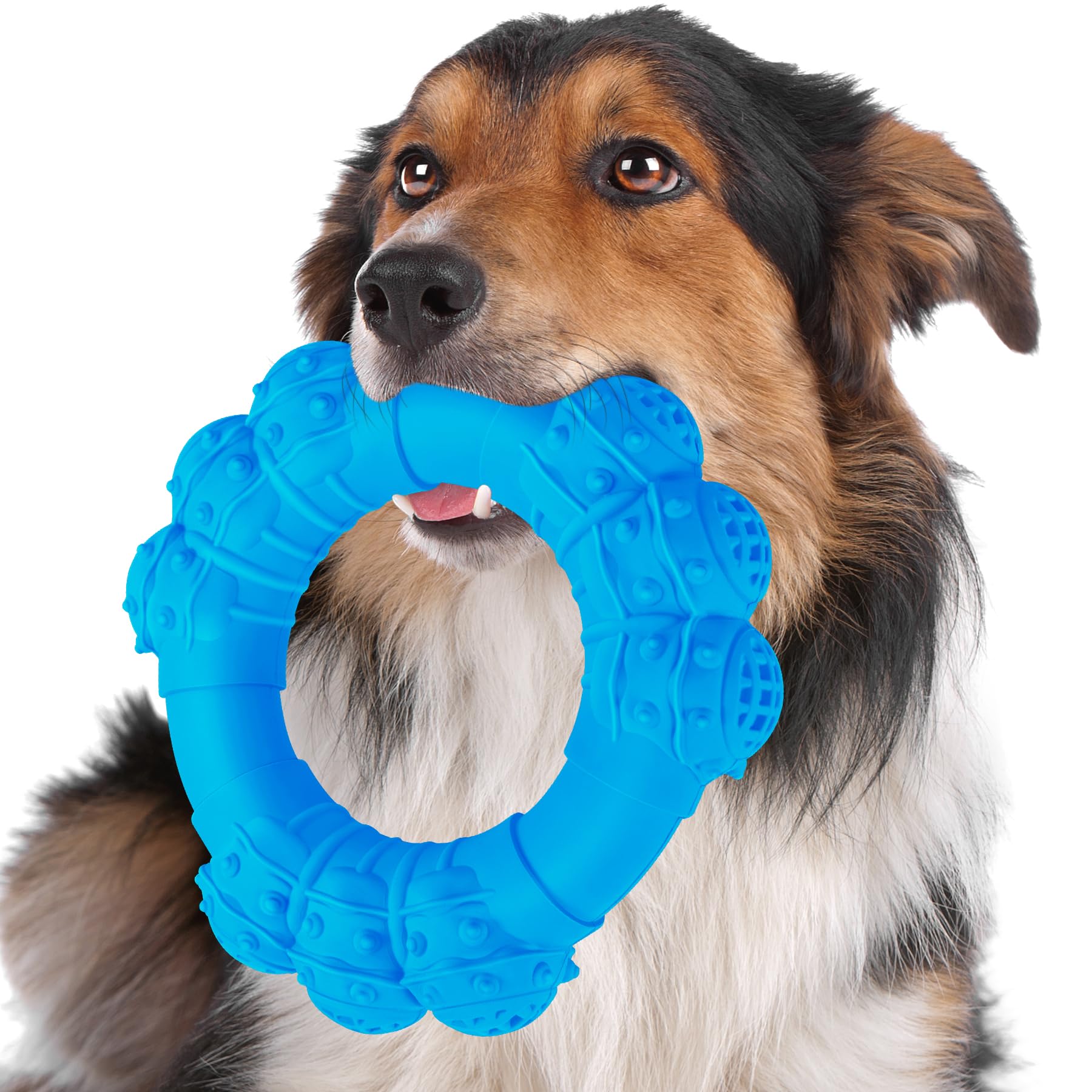 DAOZIJI Anillo masticable indestructible para perros agresivos, resistencia y juego prolongado.