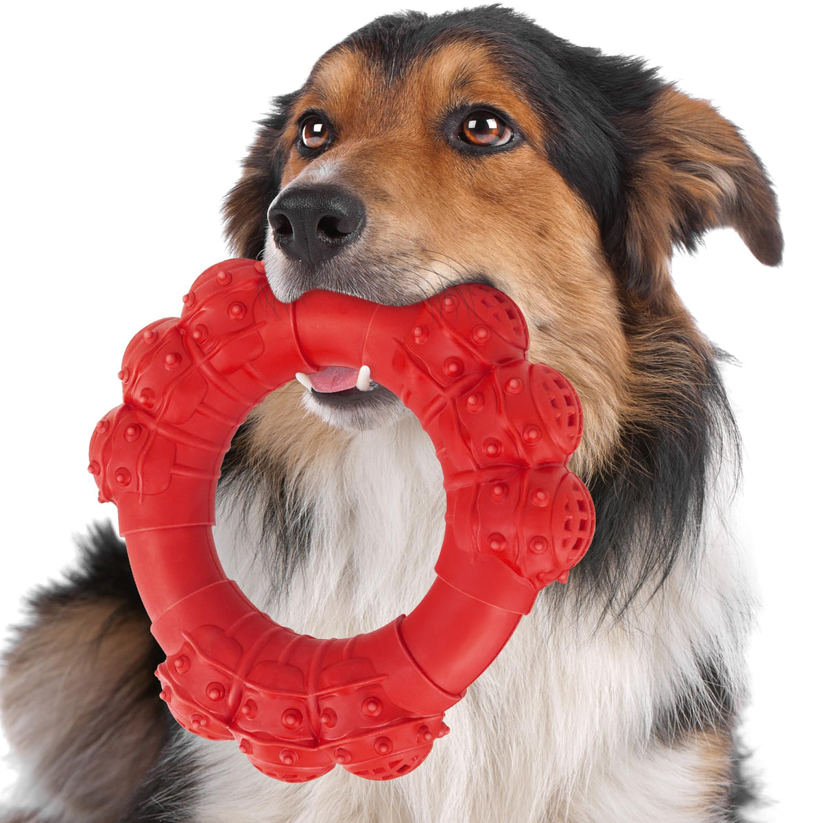 Daoziji: anillo mordedor indestructible para perros grandes que muerden con potencia