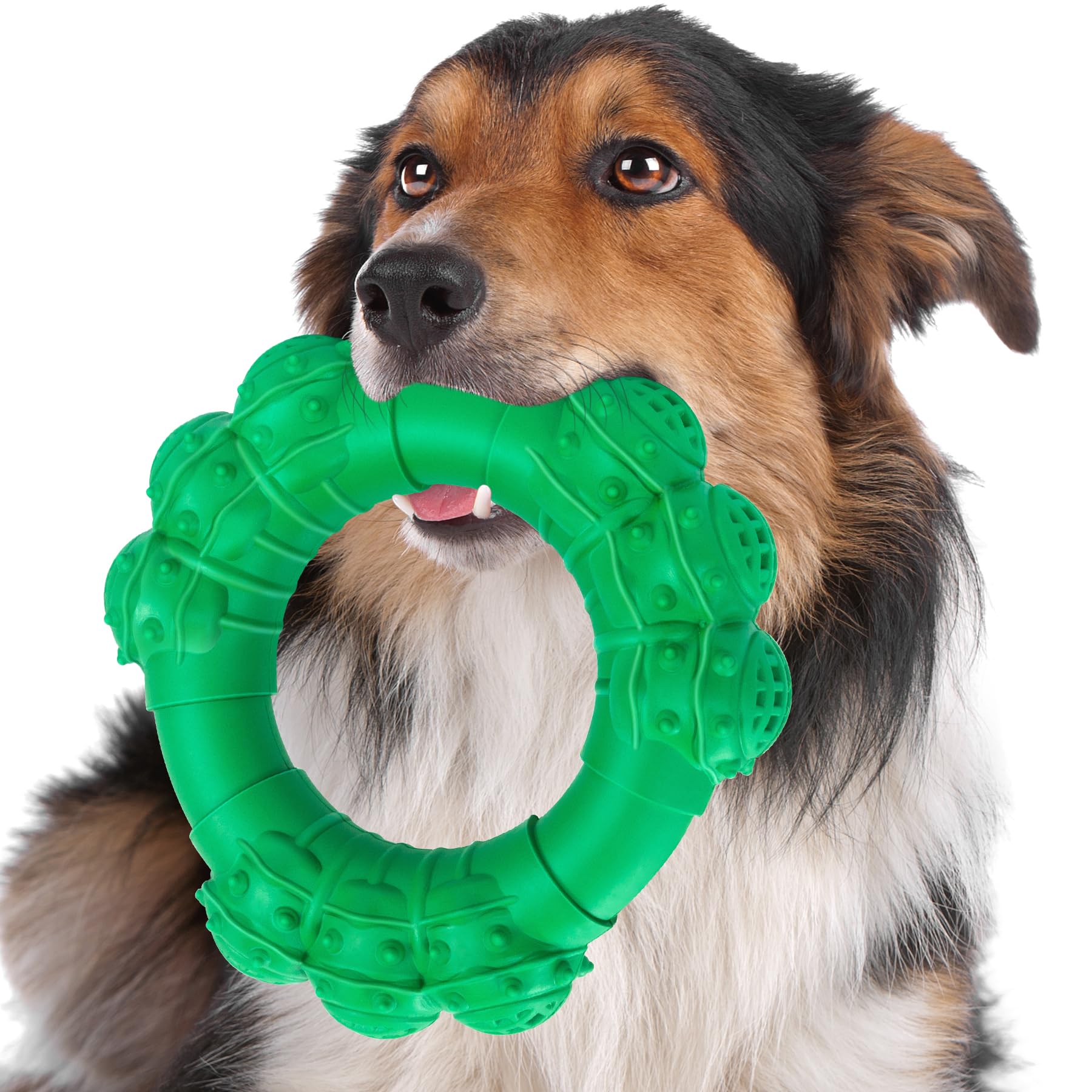 DAOZIJI anillo mordedor indestructible para perros con alta resistencia a la masticación.