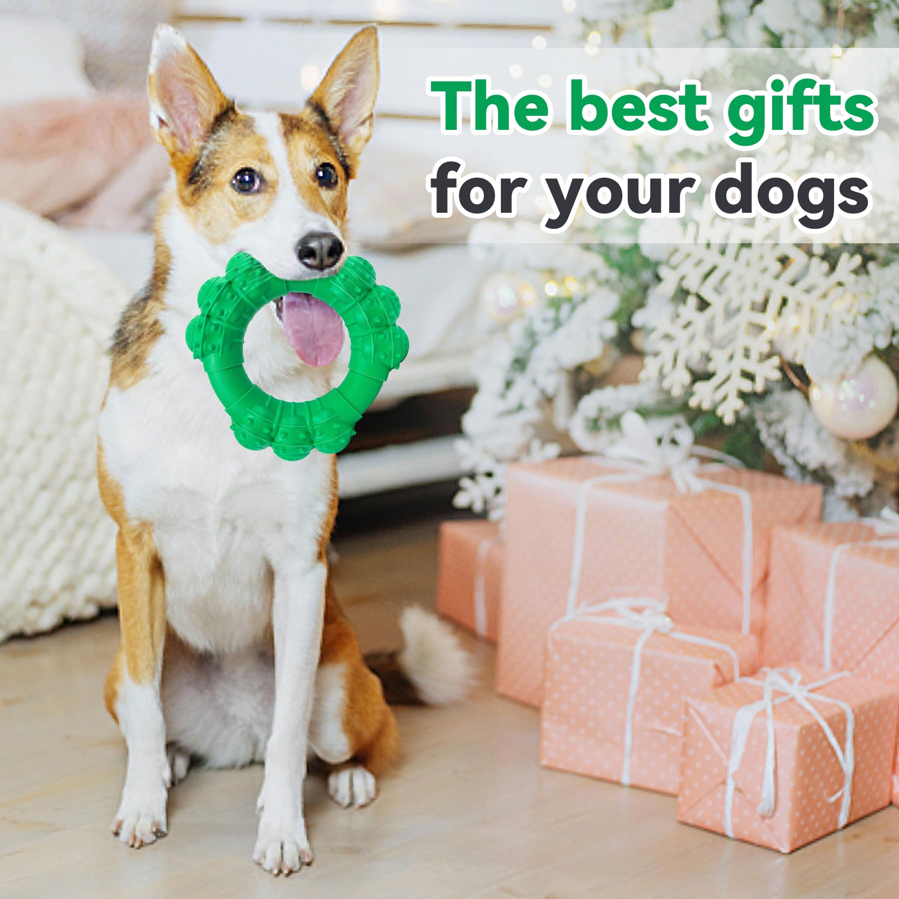 DAOZIJI regalo ideal para perros medianos y grandes que aman masticar.
