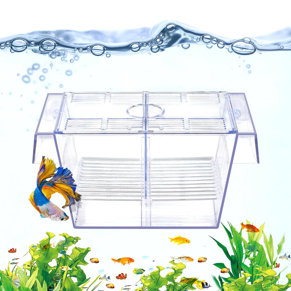 DaToo caja de cría para acuario, capas superior e inferior, observación segura.