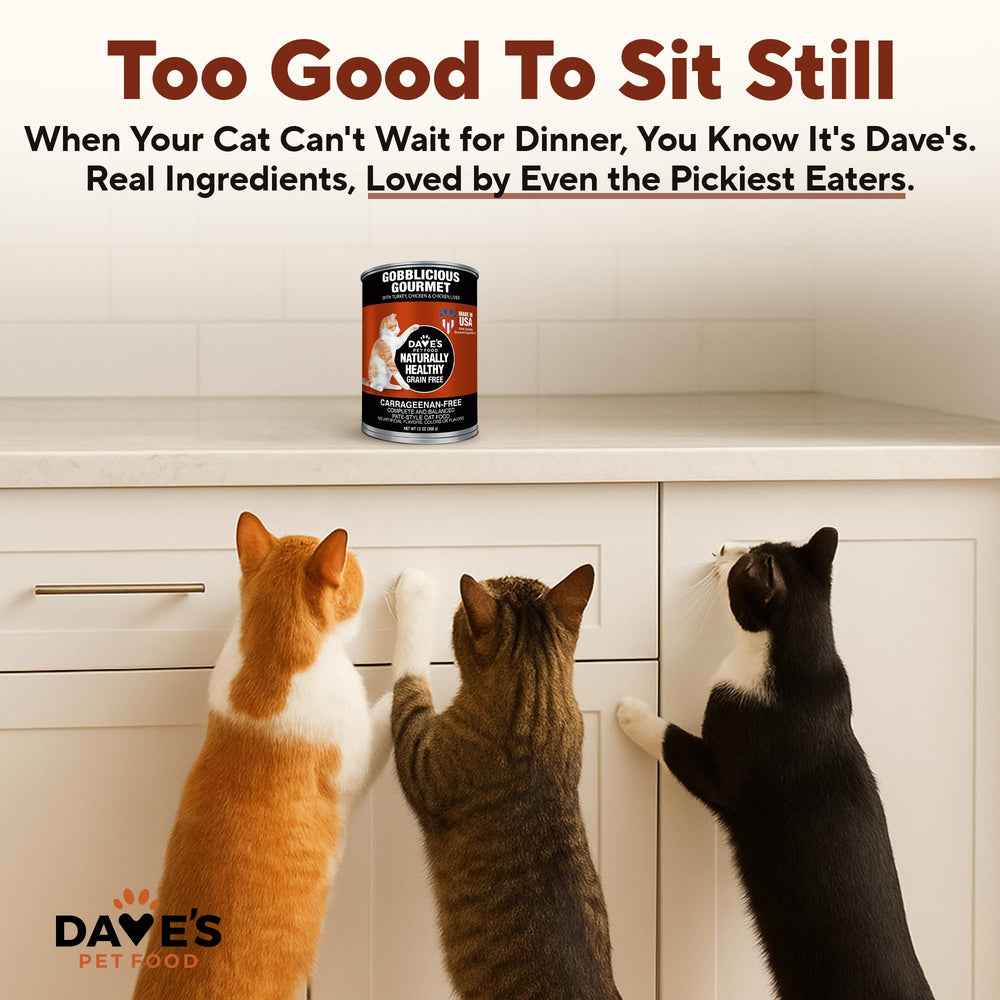 Dave's Pet Food Alimento húmedo para gatos, favorece hidratación.