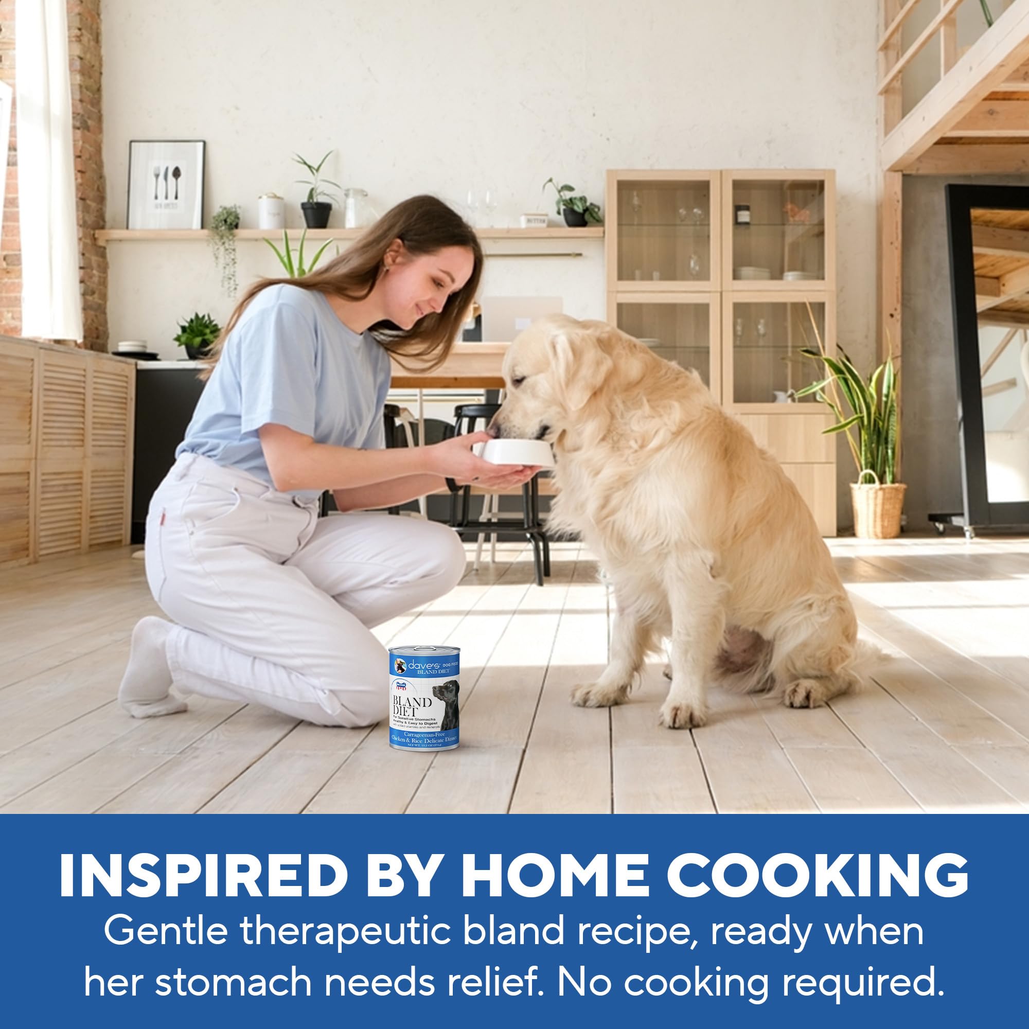 Seguridad dental con Dieta Blanda de Dave's Pet Food, textura de paté suave.