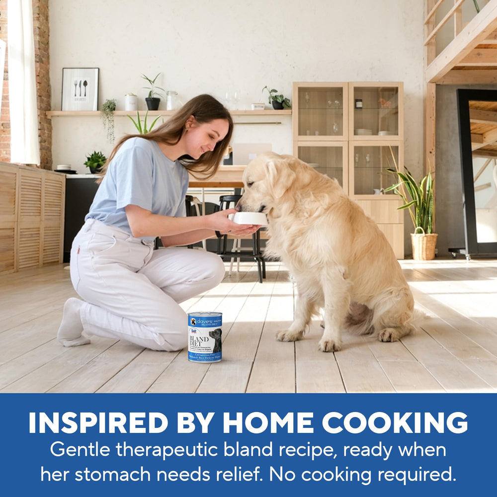Seguridad dental con Dieta Blanda de Dave's Pet Food, textura de paté suave.