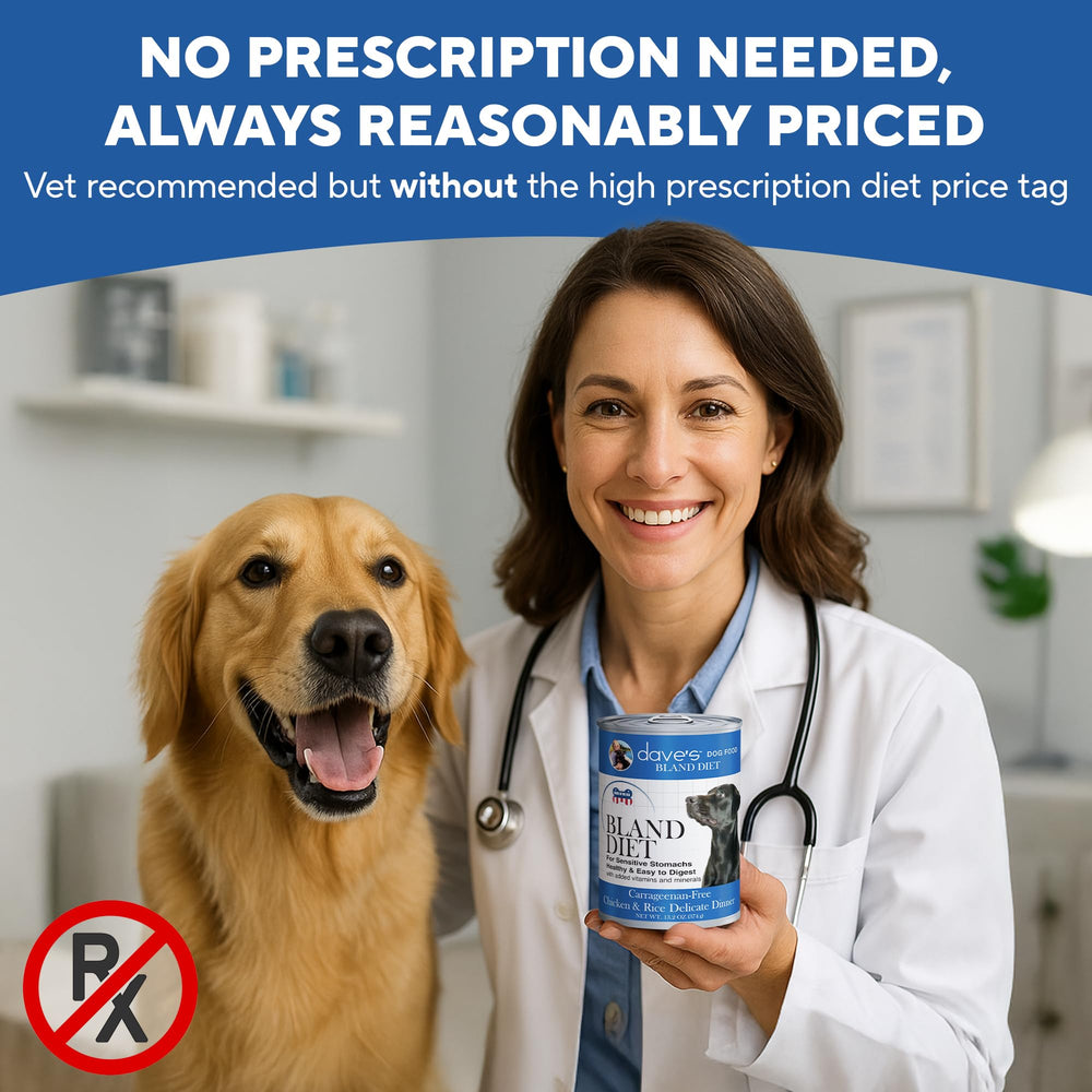 Textura suave de Dave's Pet Food Dieta Blanda, ideal para masticación y deglución.