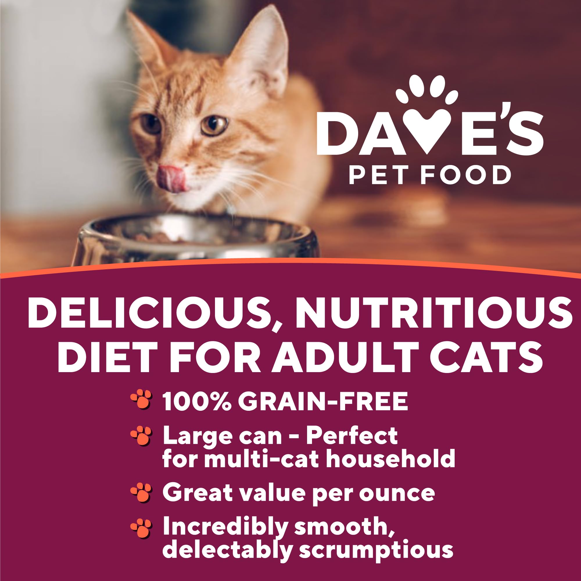 Dave's Pet Food opción sin granos y sin sabores artificiales para gatos