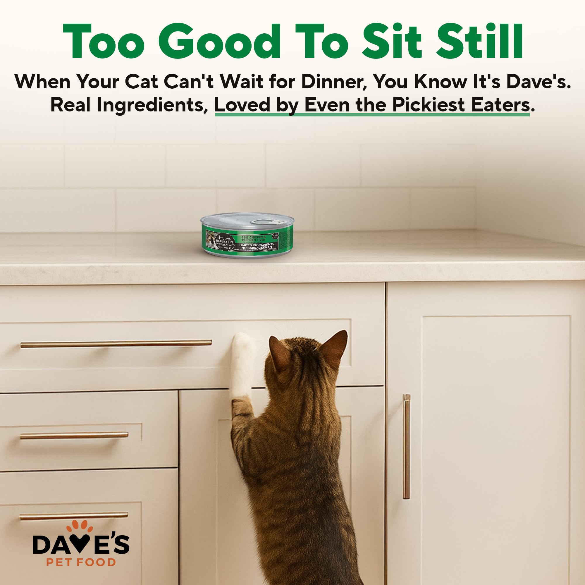 Dave's Pet Food elaborado en Canadá con ingredientes de origen nacional.