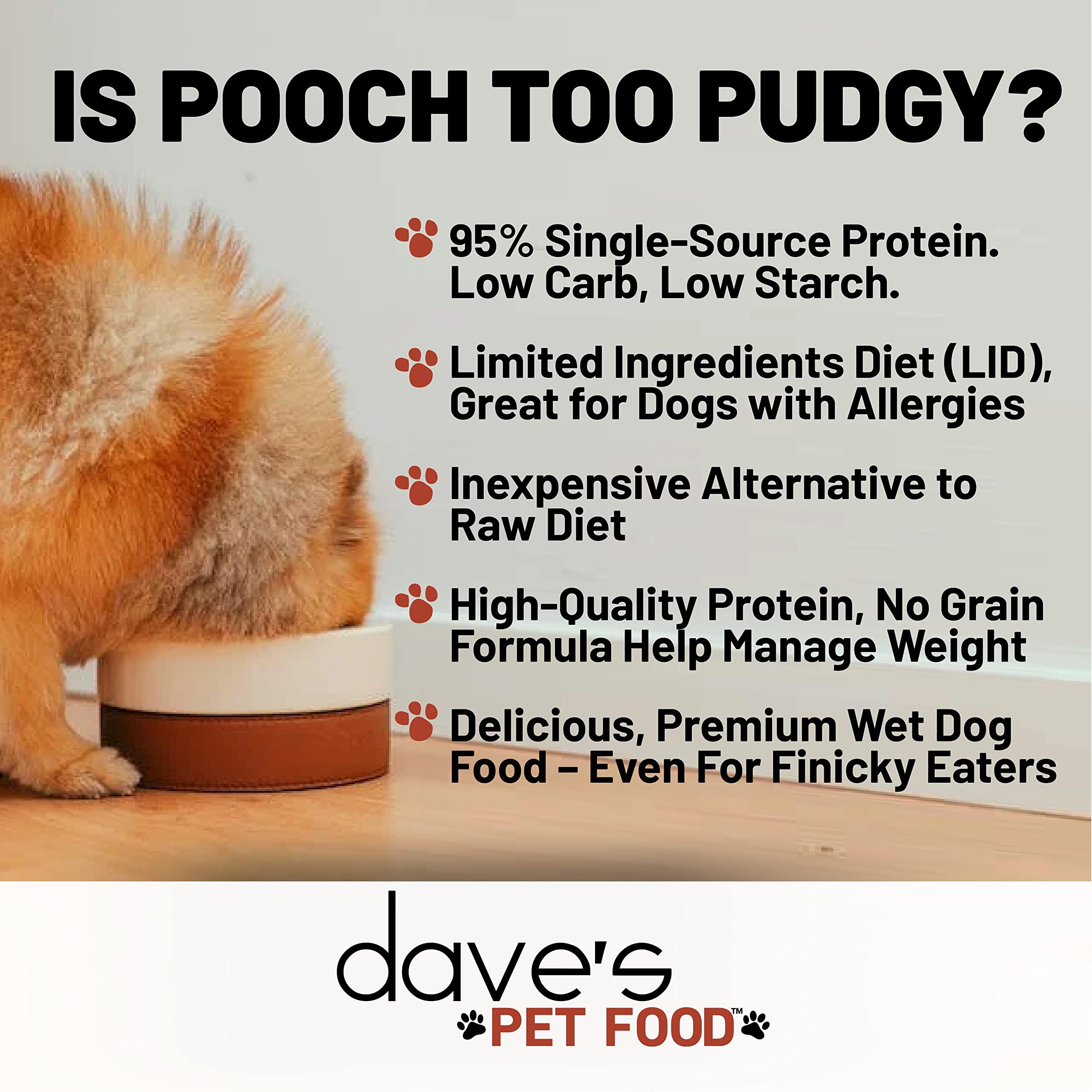 Dave's Pet Food: lata sin granos, opción adecuada para perros con sensibilidad.