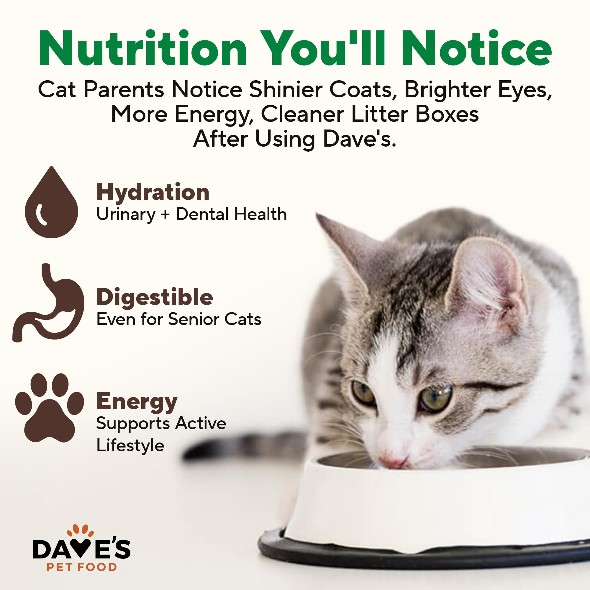 Dave's Pet Food pack de 12 latas para alimentación práctica.