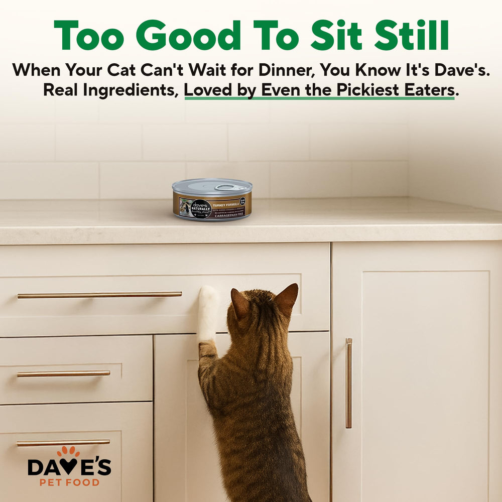 Dave's Pet Food Pate, paquete de 24 latas, porciones prácticas para la alimentación.