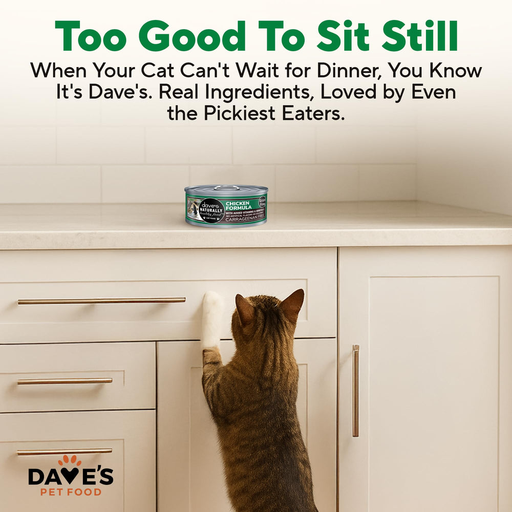Dave's Pet Food: paquete hecho en EE.UU. para confianza de calidad.