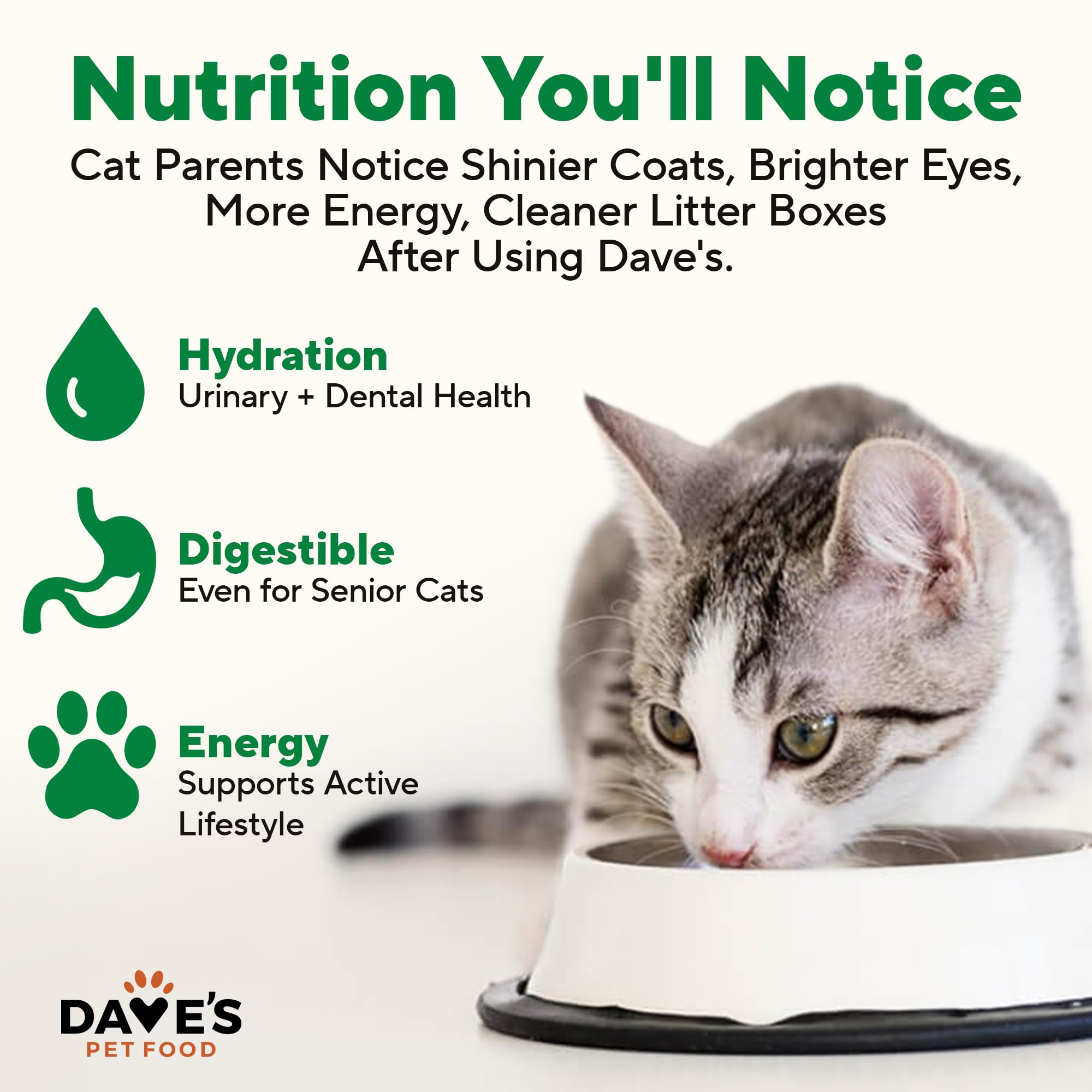 Dave's Pet Food: textura cremosa para paladares sensibles.