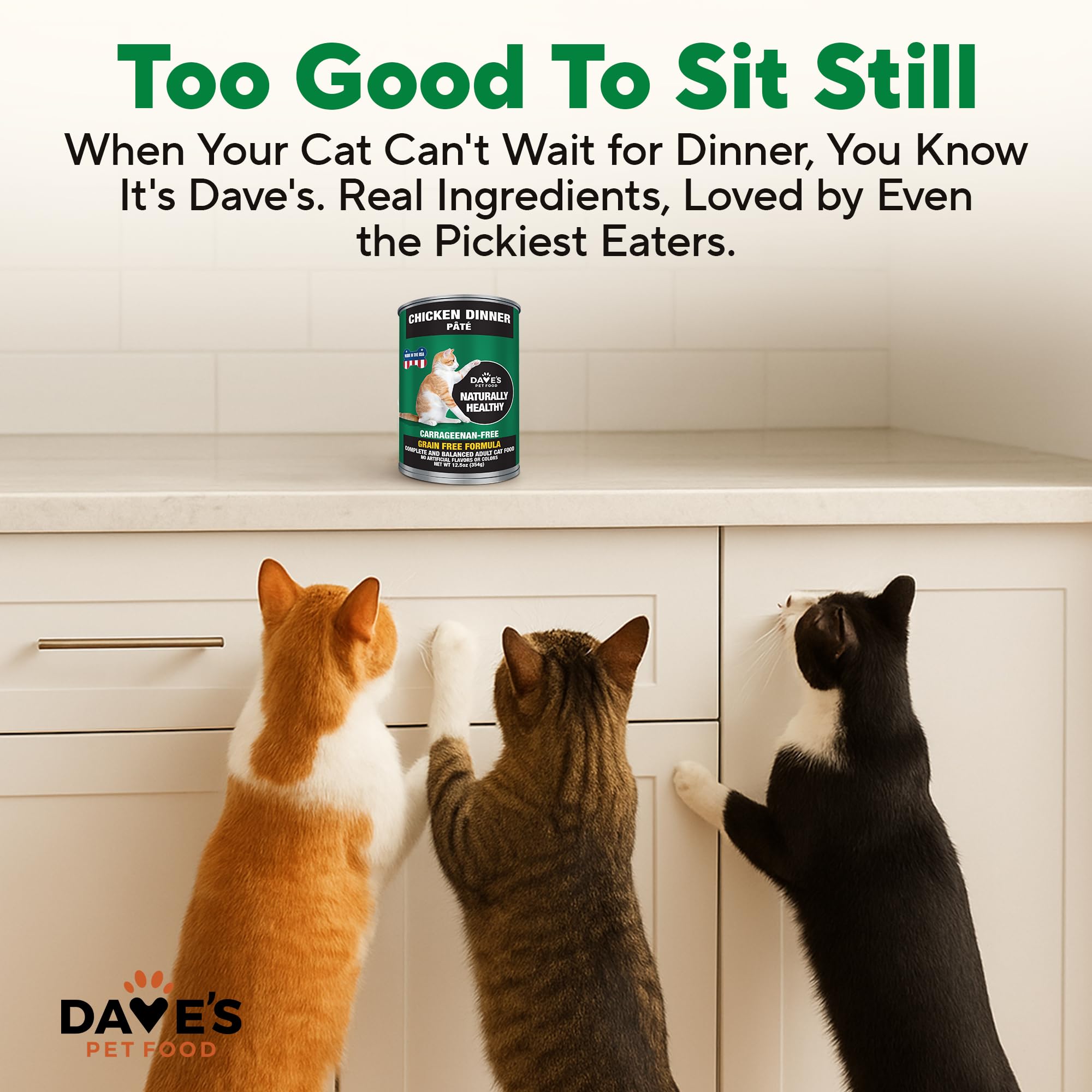 Dave's Pet Food sin colorantes artificiales ni carragenina, opción natural.