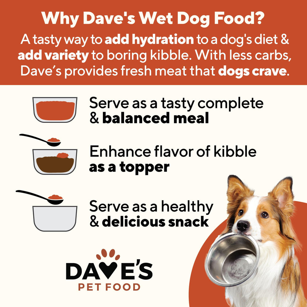 Dave's Pet Food sin trigo, opción para perros con sensibilidad