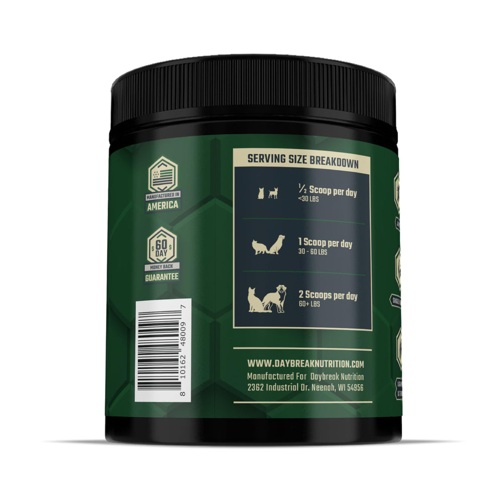 Mejillón verde Daybreak Nutrition, fuente natural de nutrientes para comodidad articular.