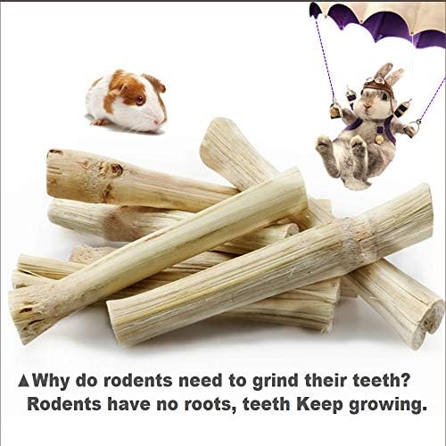 Dbeans Flourithing cuidado dental para conejos y roedores
