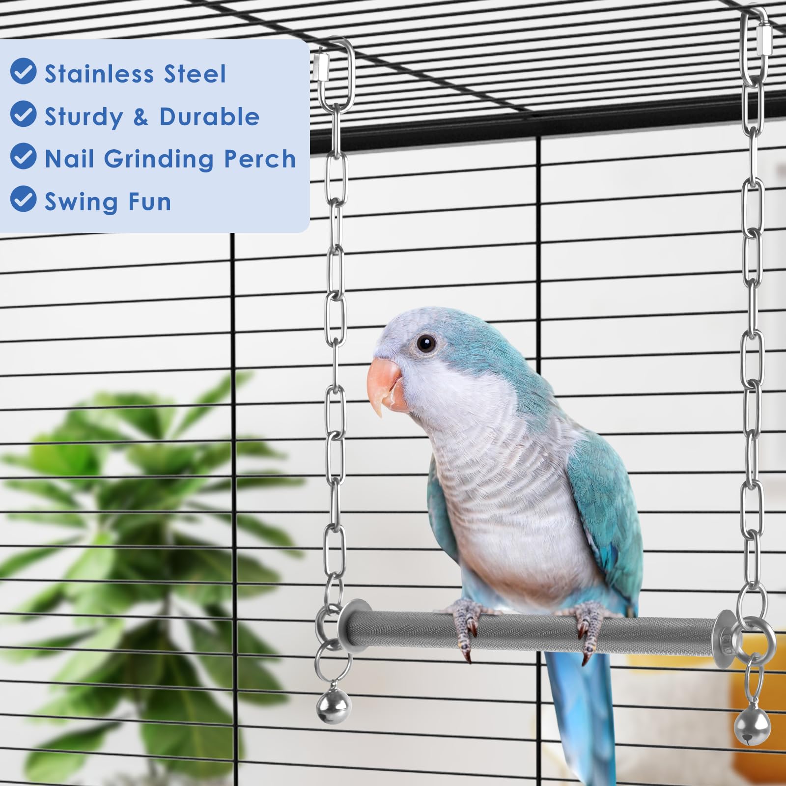 DBNESS diseño ergonómico para guacamayos y aves grandes.