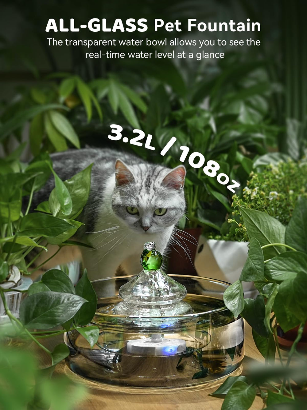 Fuente de vidrio para gatos, flujo espiral que anima a beber.