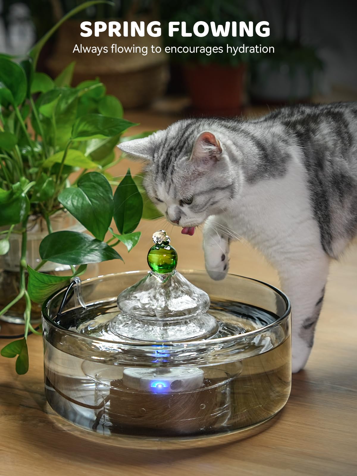 Monitoreo rápido por vidrio transparente y estatus de agua.