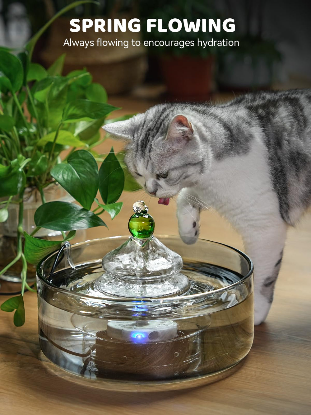 Monitoreo rápido por vidrio transparente y estatus de agua.