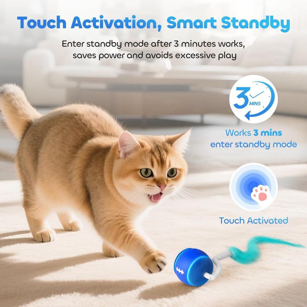 ddxcoo modo baja velocidad con luz verde para gatos tímidos