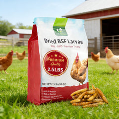 DE AVILA larvas mosca negra secas en bolsa – alto contenido proteico para gallinas