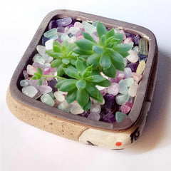 DEEDOCHY piedras para plantas suculentas aportan color y drenaje visual.