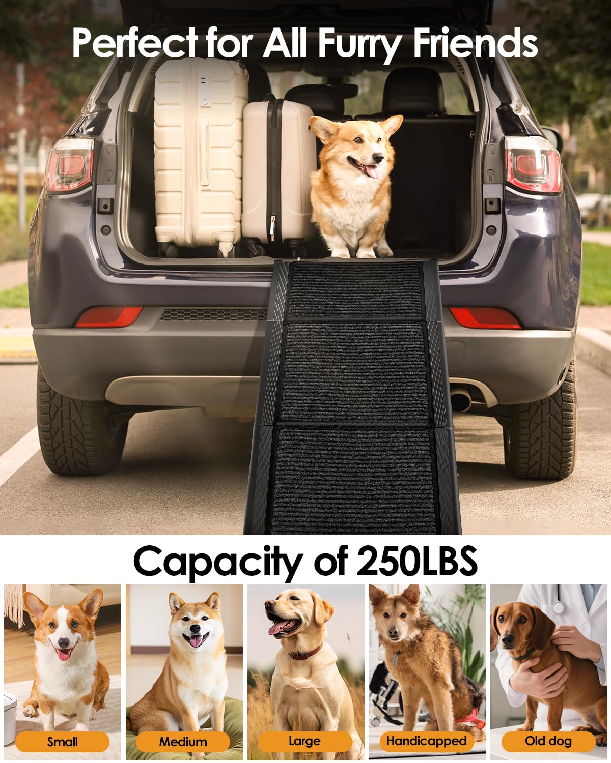 Deekuiwi rampa para perros mayores, facilita subir sin forzar.