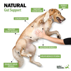 Deley Naturals Dog Probiotic Chews ingredientes clave para digestión equilibrada