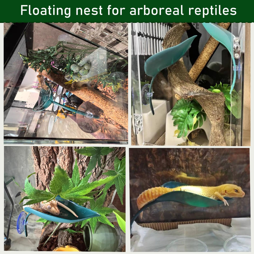 Accesorios resistentes al agua Delllala para terrarios duraderos
