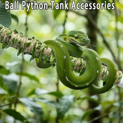 Delllala accesorios para terrario con dos ganchos adhesivos para instalación rápida