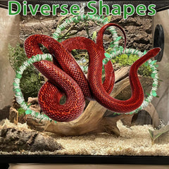 Delllala hábitat serpiente pitón bola aporta decoración funcional.